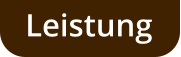 Leistung