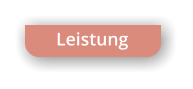 Leistung